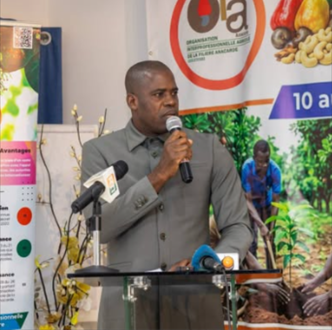 Lancement de l'atelier de formation sur l'agroforesterie appliquée aux vergers d'anacardiers