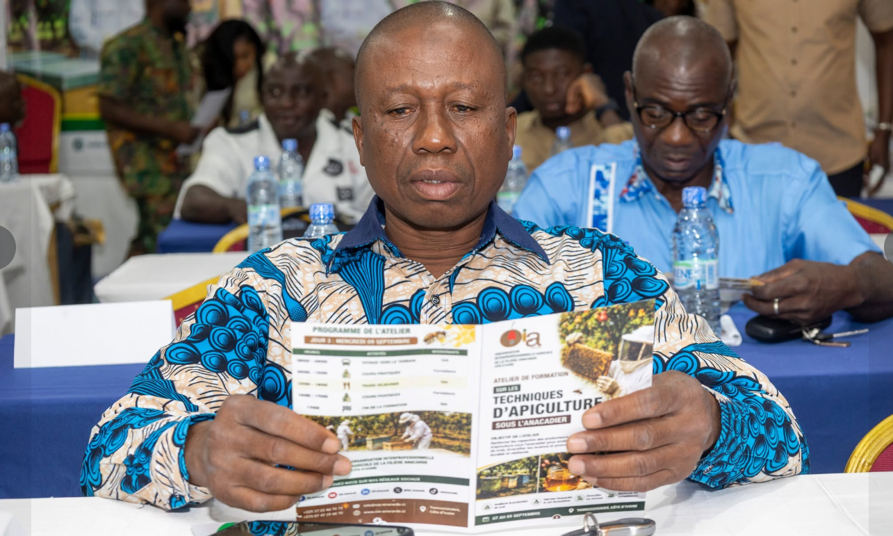 Formation des producteurs aux techniques modernes d'apiculture à Yamoussoukro