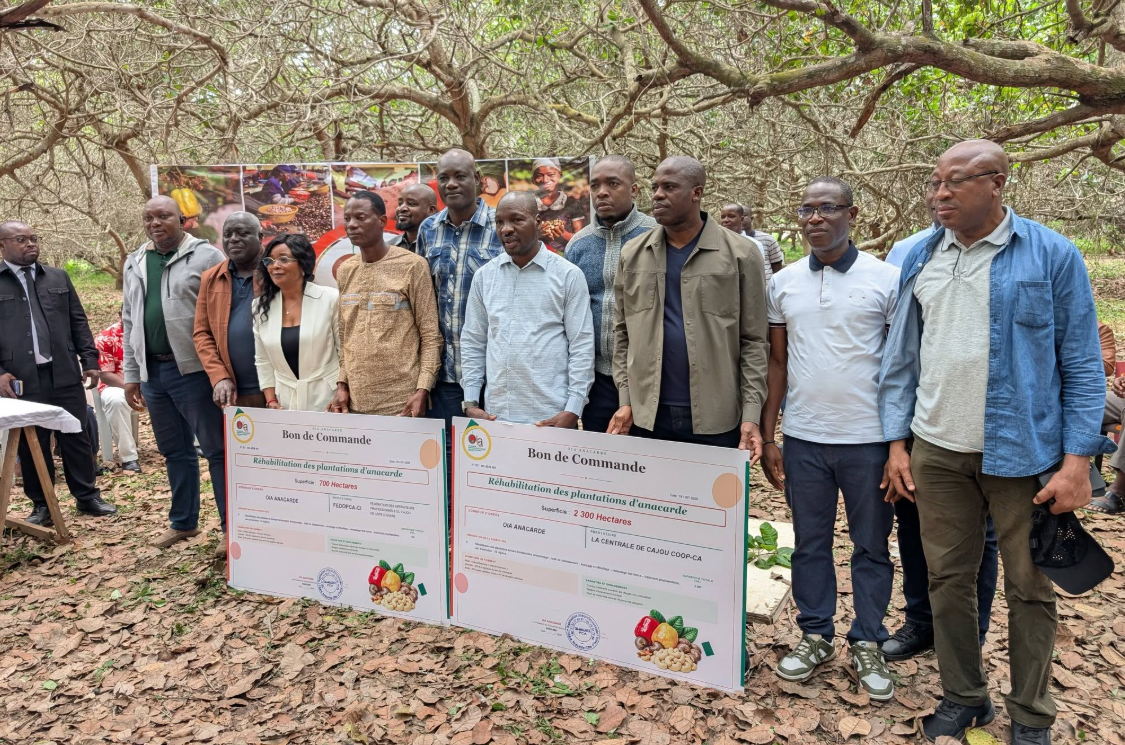 Remise des bons de commande pour la réhabilitation des plantations d'anacarde