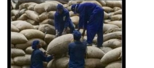 Acheteurs manipulant des sacs de noix de cajou