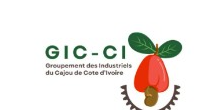 Logo GIC-CI